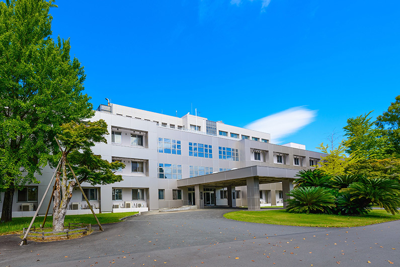 NIG Postdoctoral Fellowship 2025-2026 National Institute of Genetics NIG Postdoctoral Fellowship 2025-2026 National Institute of Genetics