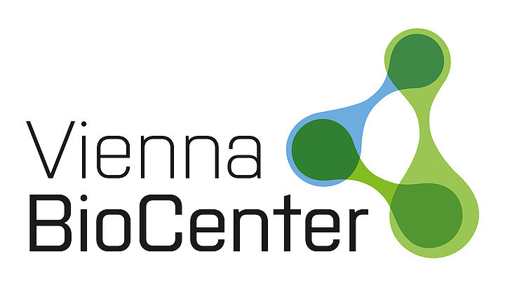 Vienna International Postdoctoral Program 2025-2026 (fully funded)